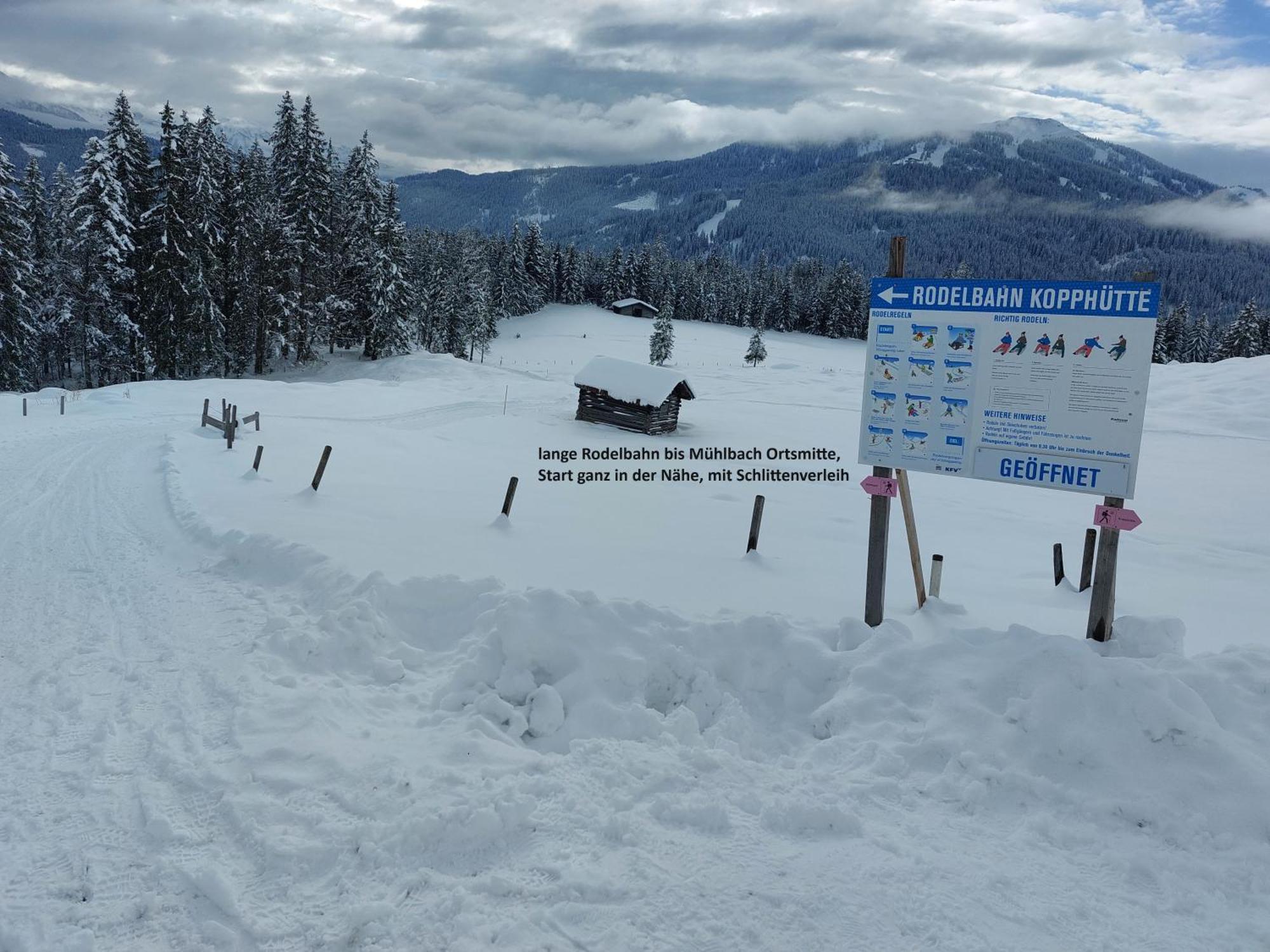 Landhaus Rieding Apartment Mühlbach am Hochkönig Екстериор снимка