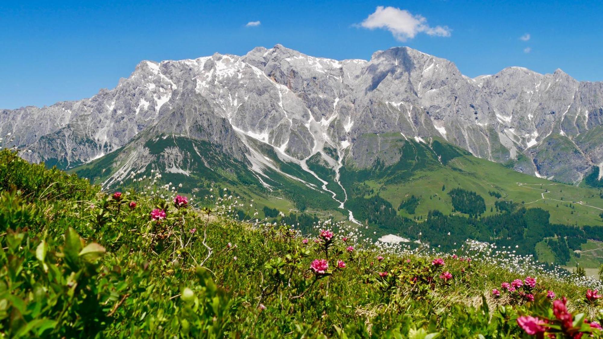 Landhaus Rieding Apartment Mühlbach am Hochkönig Екстериор снимка