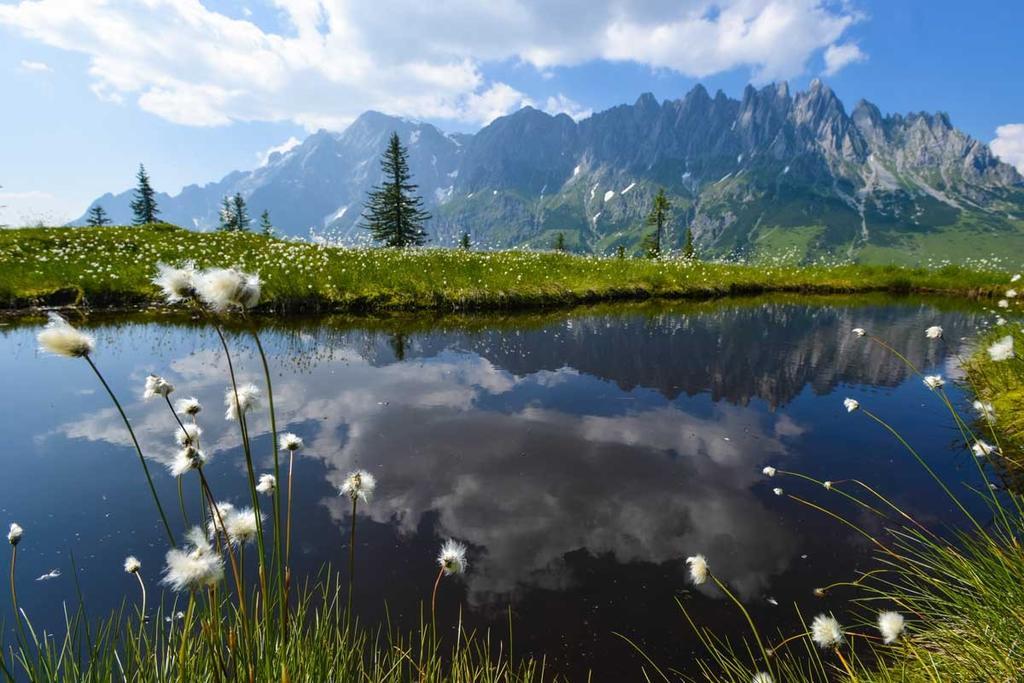 Landhaus Rieding Apartment Mühlbach am Hochkönig Екстериор снимка