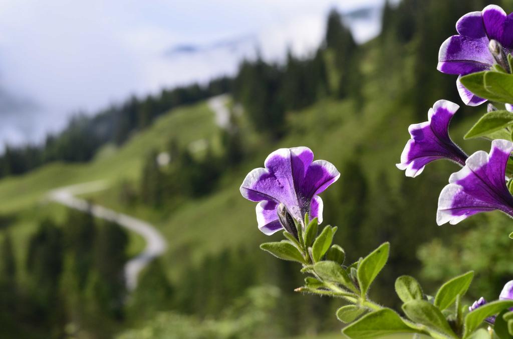 Landhaus Rieding Apartment Mühlbach am Hochkönig Екстериор снимка