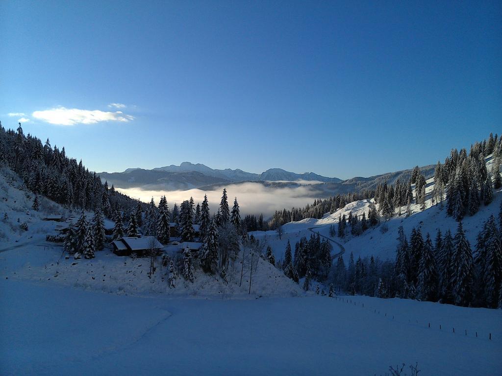 Landhaus Rieding Apartment Mühlbach am Hochkönig Екстериор снимка