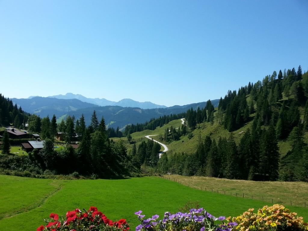 Landhaus Rieding Apartment Mühlbach am Hochkönig Екстериор снимка